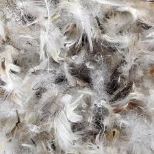 The feathers are poured into a large tank where they are stirred by a paddle. 50 50 Loose Down Feather Fiber Filling 3 Lb Onlinefabricstore