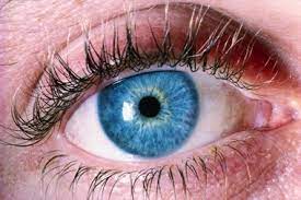 Nhs 111 Wales Health A Z Conjunctivitis