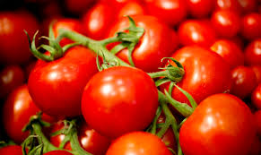 Risultati immagini per foto pomodoro