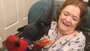 Fundraiser by Rebecca Kilmartin : Memorial Donations