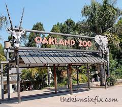 15 Things To Do In San Francisco You Ve Never Heard Of Oakland Zoo San Francisco Vacation San Francisco Zoo