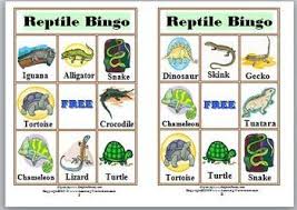 Bingo Printable Reptile Bingo Game Animal Classification Animal Classification Reptiles Animal Games