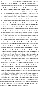 Co., ltd mac адреса 001149 выделены компании proliphix inc. Cloning And Molecular Characterization Of A Novel Lectin Gene From Pinellia Ternata Cell Research