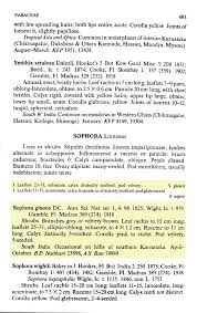 Image result for Sophora velutina