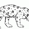 Sep 25, 2019 · top 10 leopard coloring pages for kids: Https Encrypted Tbn0 Gstatic Com Images Q Tbn And9gcswu7vnoouxqmwz6i G5eornjca Uofjf7jk938fp4cjbbdhlas Usqp Cau