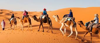 The sahara is actually 10+ hours away from marrakesh and the shortest group tour i would do is the popular 3 day 2 night tour. 3 Day Desert Tour To Merzouga From Marrakech 85