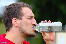 1,808 Sam Swallow Stock Photos, High-Res Pictures, and Images