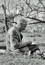 Collingwood ingram as the best from a set of p. Grand Old Man Collingwood Ingram Gardener Naturalist And Diarist