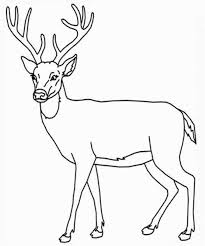 Deer Coloring Page Deer Coloring Pages Deer Drawing Horse Coloring Pages