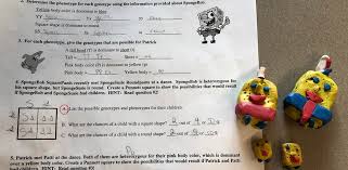 D2ct263enury6roudfront spongebob genetics sciencespot answers genetics keystone quiz. Studentdrivenactivities Hashtag On Twitter