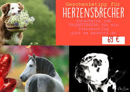 Geschenkidee Zum Valentinstag Pferdeshooting Hundeshooting Tiershooting In Munchen Bayern In 2020 Geschenke Valentinstag Geschenkideen