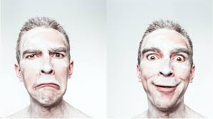 Cap Sup' Iesn/HENALLUX