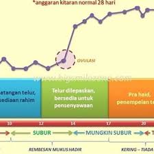 Setelah berkahwin adalah penting untuk mengetahui dan memahami kitaran haid sendiri demi kebaikan diri. Suami Pun Kena Tahu Waktu Subur Isteri Barulah Boleh Rancang Untuk Zuriat