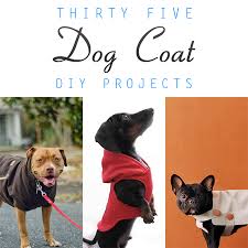 Keep your dog dry with a homemade rain coat! 35 Diy Dog Coats