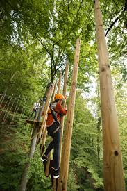 Kletterspass In Luftiger Hohe Zwischen Riesigen Buchen Befinden Sich Die Plattformen Des Hochseilgarten Willingen In Bis Zu 20 M Ausflug Vision Board Kanutour