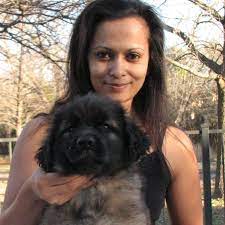 7 years, 10 months and 10 days old, 2 puppies. Sforzando Leonbergers Home Facebook