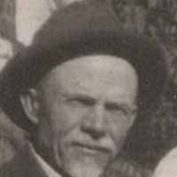 David D Bushman (1857–1944)