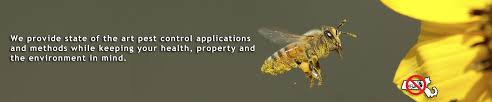 Bay state pest control takes pride in offering customers an annual pest protection program. Bay State Pest Control Pest Solutions Wakefield Ma