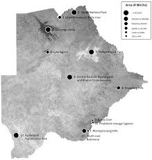 Image result for Sporobolus bechuanicus