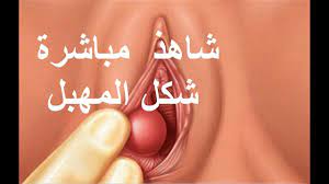 تضييق المهبل بعد الولاده بدون خياطه وصفات تساعد علي تضييق المهبل اغراء القلوب