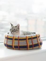 well psy and thai mostly thai my cats have finally had their big moment in front of the camera it was c crochet cat bed cat bed pattern crochet projects
