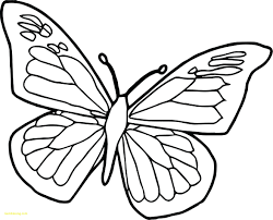 Butterfly of beautiful open wings. Adult Color Pages Coloring Butterfly Realistic Book For Adults Little Pony Fancy Nancy Black Unicorn Disney Back To School Sheets Oguchionyewu