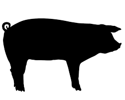 Silhouette animals lion sheep sea dog icon piglet silhouette farmer animals chinese horoscope pig shilouette pig vector country pig hunting squirrel. Pin On Scan N Cut Silhouette Plotter
