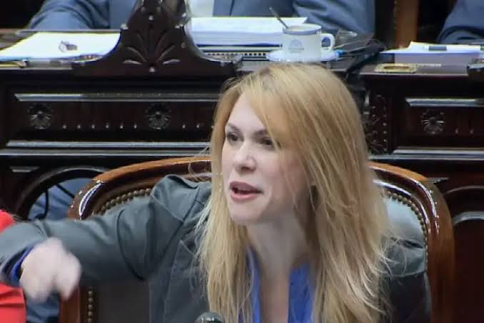 Lilia Lemoine cruzó a su compañera de bloque por el proyecto presentado  contra la ley de aborto - Parlamentario