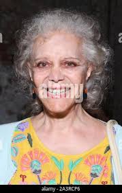 Opening night party for American Moor held at Houston Hall. Featuring:  Keith Hamilton Cobb, Josh Tyson Where: New York, New York, United States  When: 09 Sep 2019 Credit: Joseph Marzullo/WENN.com Stock Photo -