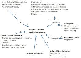Image result for Hyperprolactinemia