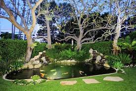 Kết quả hình ảnh cho Tra dao images