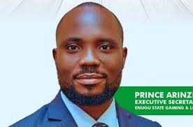 Commission arrests underage gamers, shuts down outlet in Enugu