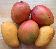 Wenn sie eine prämie ihrer eigenen, selbst geernteten mangos (mangifera indica) genießen anhand der monate oder tage nach der blüte und den reifeeigenschaften können sie erkennen, wann die erntezeit ihres mangobaums abgelaufen ist. Wann Ist Eine Mango Reif Mit Dem Reifetest Eine Saftig Susse Mango Erkennen Geschmacksbefreier De