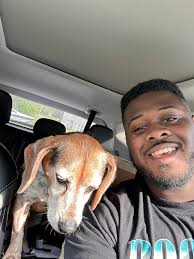 Is anyone missing this gorgeous cat? We can't get him into a carrier to  check for a chip, but he I will let us pet him. Well, we think it's a male.