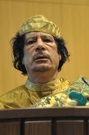 New Zealand's Underexplored Potential