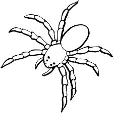 These are filled with pictures of these creepy crawly arachnids just waiting to be colored. Free Printable Spider Coloring Pages For Kids