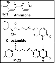 Image result for Amrinone
