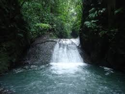 Check spelling or type a new query. Darien National Park World Heritage Site Pictures Info And Travel Reports