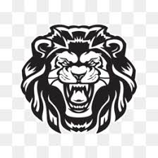 Check spelling or type a new query. Lion Drawing