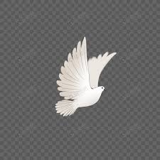Flying Pigeon Png Image Picture Free Download 401629175 Lovepik Com Search and download free hd flying pigeon png images with transparent background online from in the large flying pigeon png gallery, all of the files can be used for commercial purpose. flying pigeon png image picture free