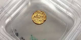The karat is a gold unit for purity, and carat is a unit for mass which is used for measuring the weight of gemstones and however, carat and karat are usually used interchangeably in some countries. An 18 Carat Gold Nugget Made Of Plastic