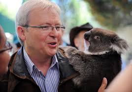 The first wild koalas have been caught and vaccinated against chlamydia in  Australia