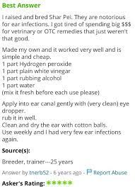 Homemade Dog Ear Cleaner Dogs Ears Infection Dog Ear Cleaner Dog Ear Cleaner Homemade