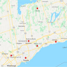 Toronto zoo map (canada) to print and to download in pdf. A Map Of The Greater Toronto Area In Southern Ontario Canada Download Scientific Diagram
