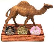 The crew places their bets, builds oasis, and drop dice out of a pyramid.yah know, camel racing things. Recovery Gifts Camels