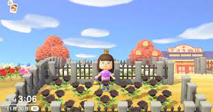 They can be watered with a watering can to breed them, which can produce hybrid flowers, and, prior to animal. Acnh Black Roses How To Get Breed Animal Crossing Gamewith