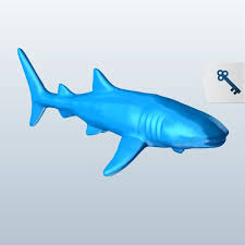 Balina Kopekbaligi V1 Ucretsiz 3d Model Obj Stl Free3d