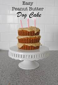 Whether its toys, treats or a trip to the dog park, people will do whatever it takes to make their furry friends happy. Phone Tracker Real Time Phone Locator Recipe Dog Cake Recipes Dog Cake Recipe Peanut Butter Dog Cakes