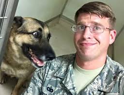 139 Deployed Military Working Dog Kennels Supported