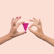 Why Do Humans And So Few Other Animals Have Periods University Of Edinburgh Science Media